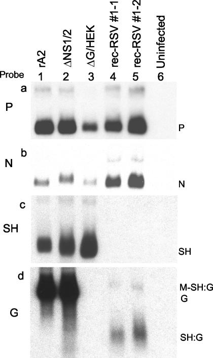 FIG. 7.