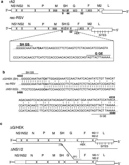 FIG. 5.