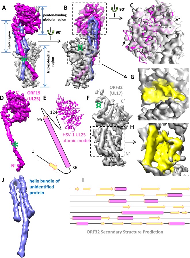 FIG 3