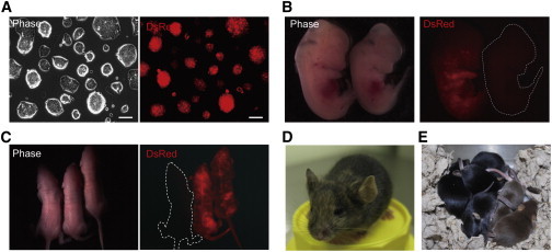 Figure 3