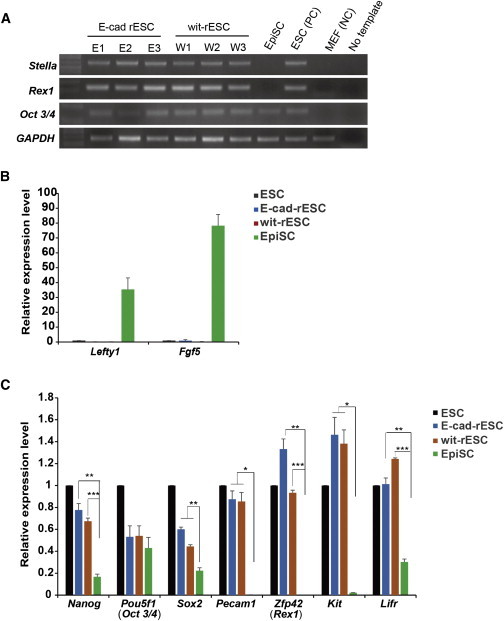 Figure 4