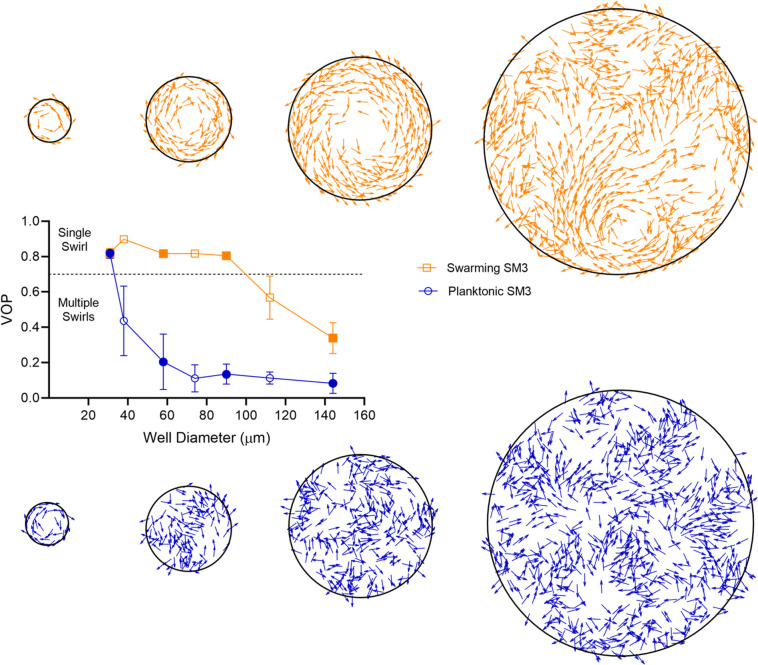 Appendix 2—figure 2.