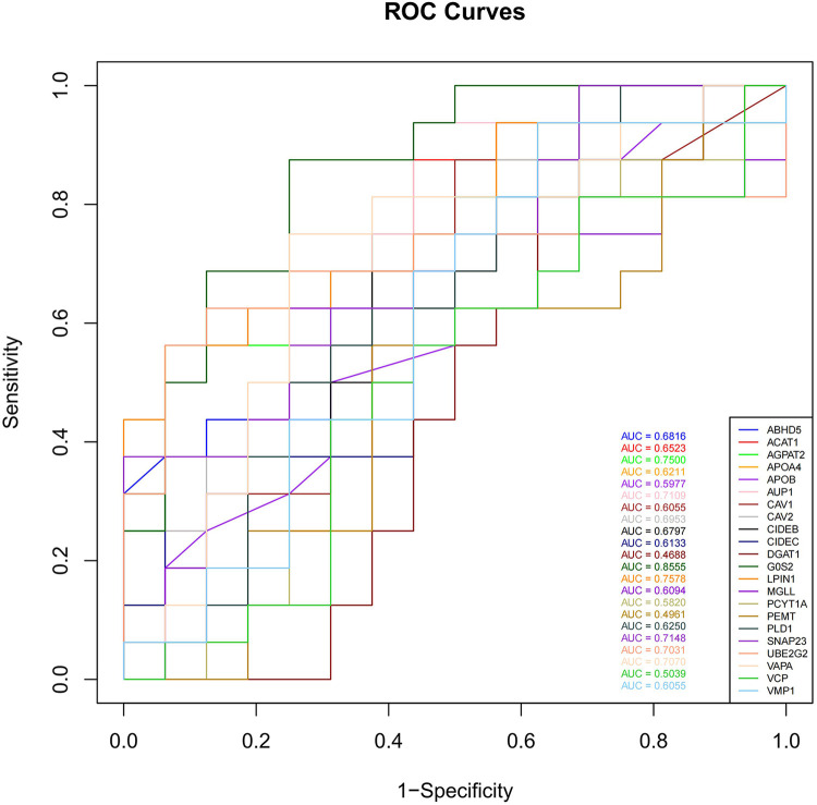 Figure 6