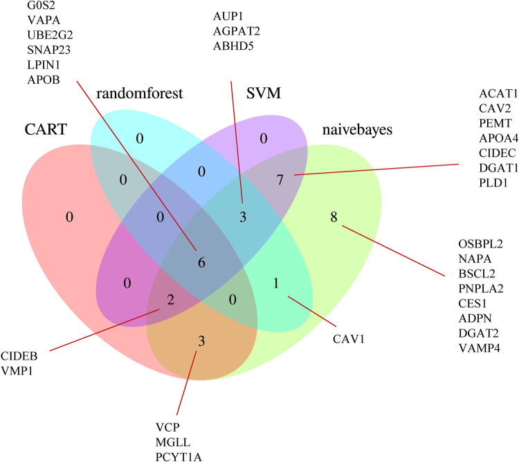 Figure 5