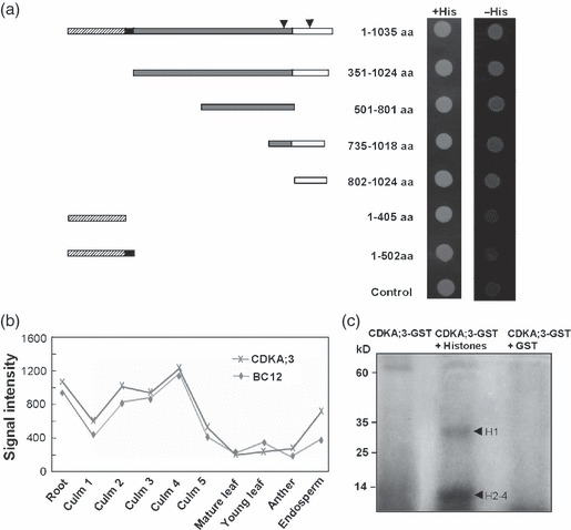 Figure 10