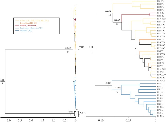 Figure 4.