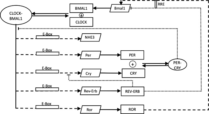 Fig. 1.