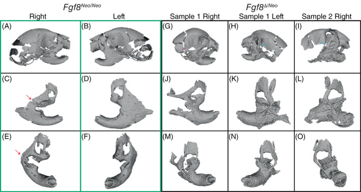 FIGURE 2