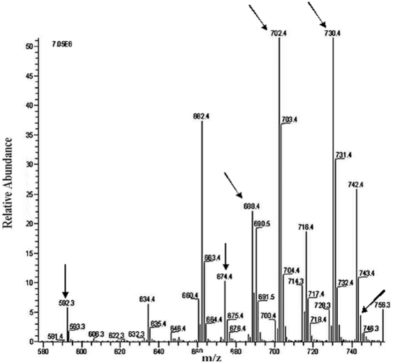 Figure 16