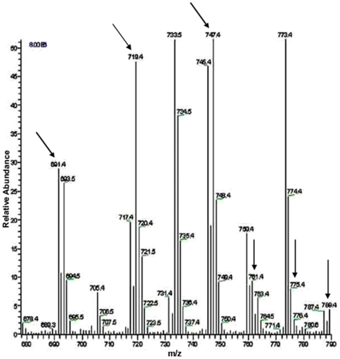 Figure 17