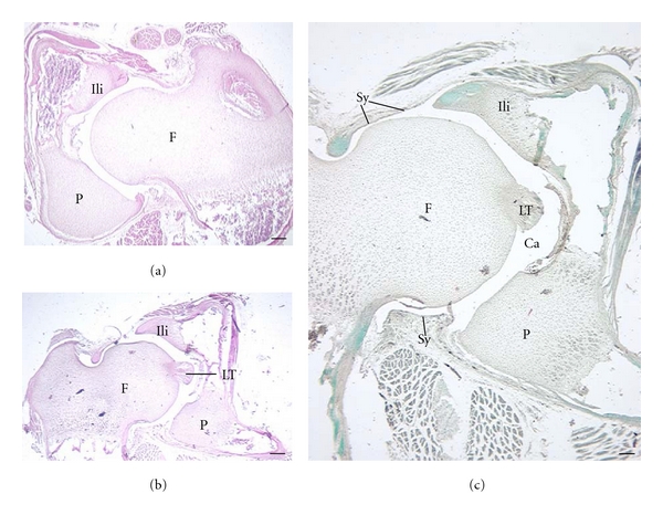 Figure 9