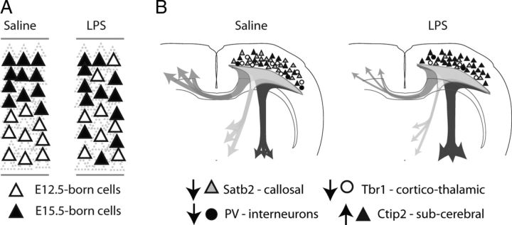 Figure 11.