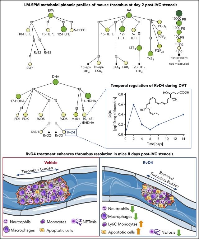 graphic file with name blood886317absf1.jpg