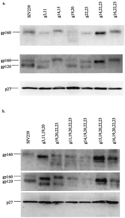 FIG. 5.