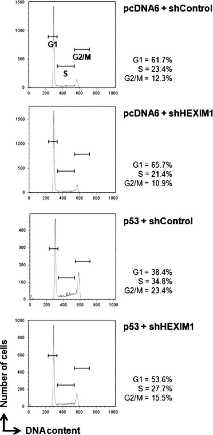 FIGURE 7.