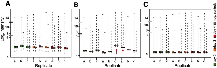 FIGURE 3.