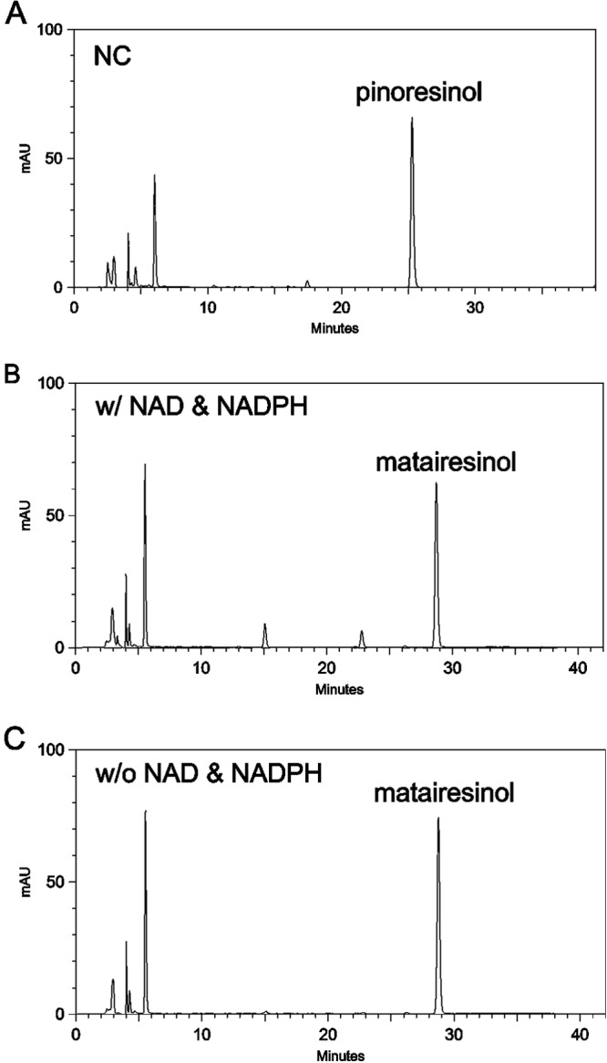 FIG 3