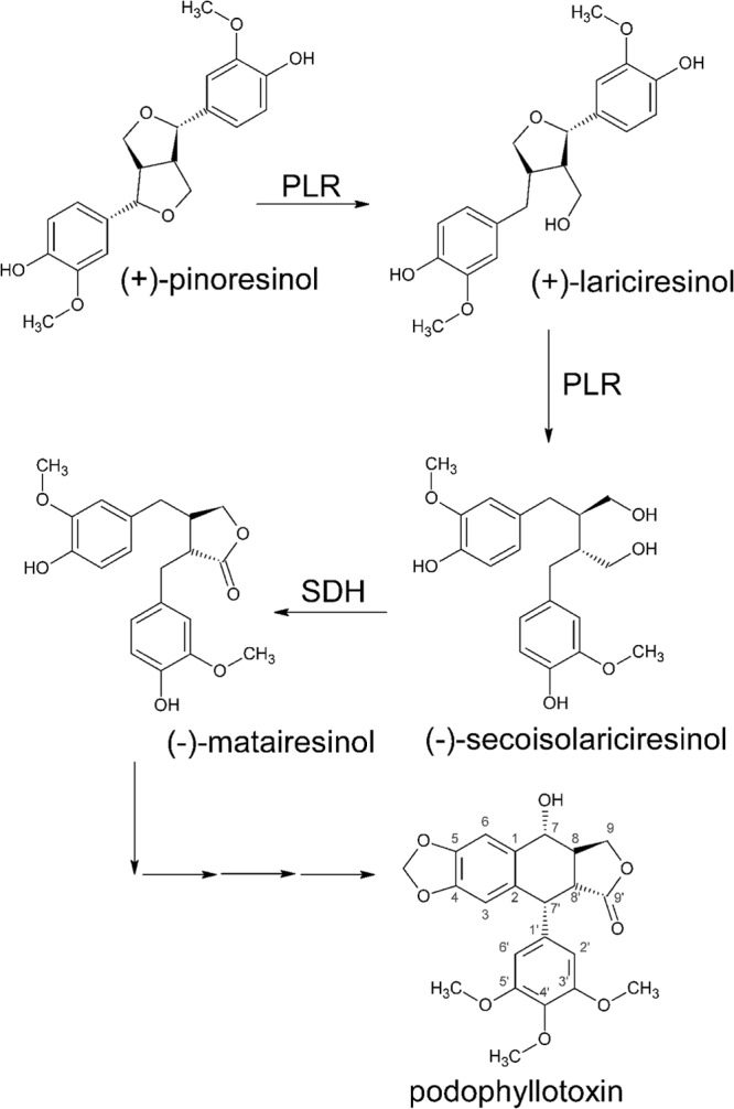 FIG 1