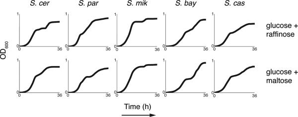 Extended Data Figure 1