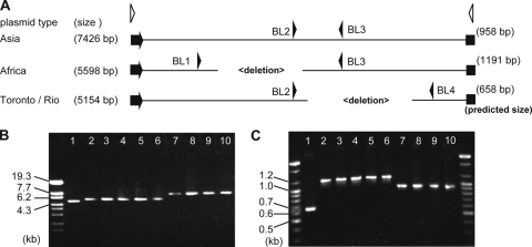 FIG. 1.