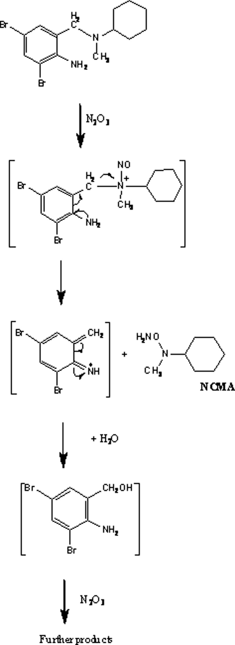 Fig. 10