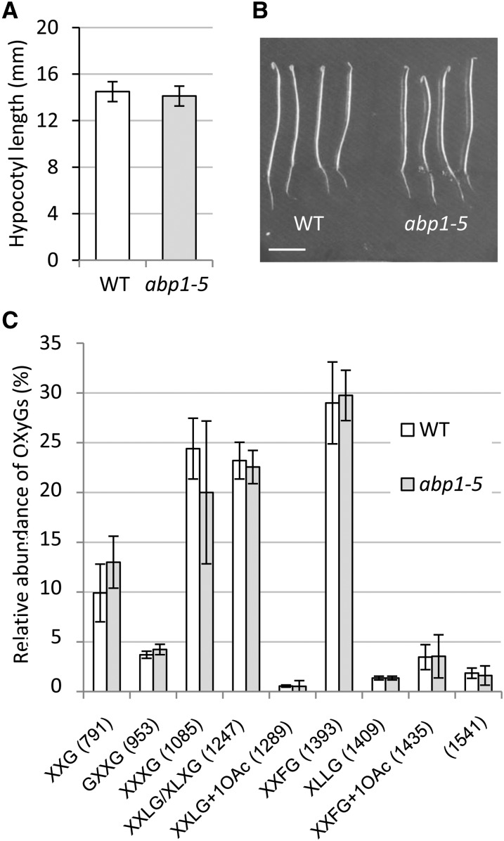 Figure 5.