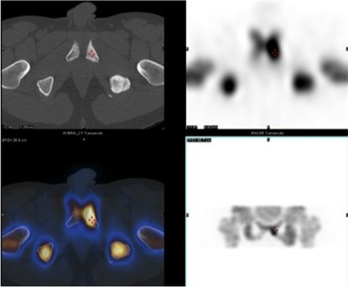 Figure 2