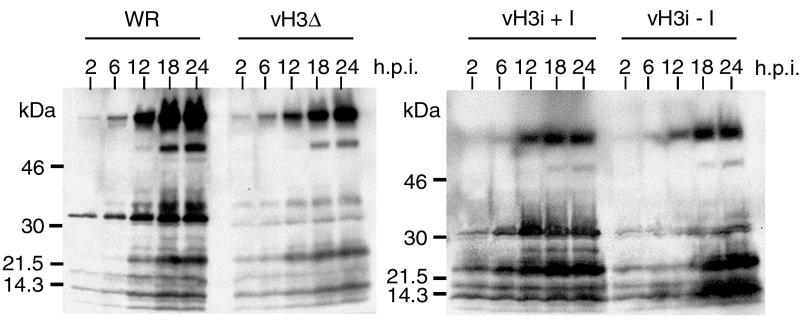 FIG. 5