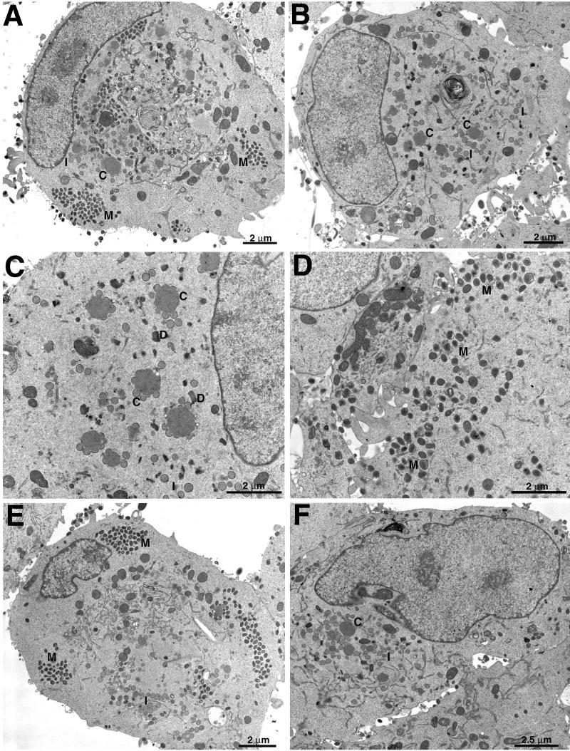 FIG. 6