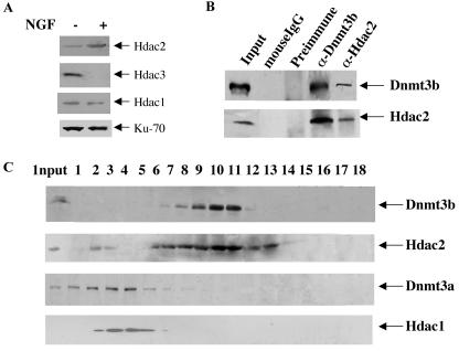 FIG. 8.