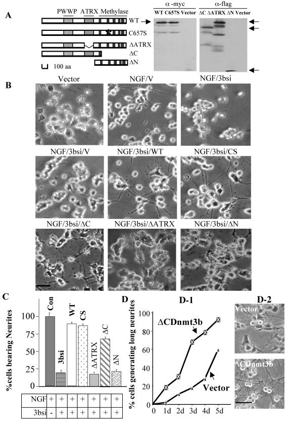 FIG. 6.