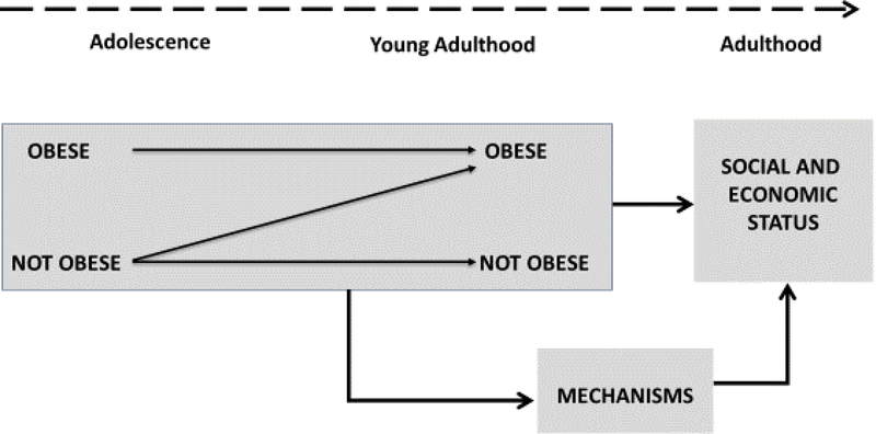 Figure 3: