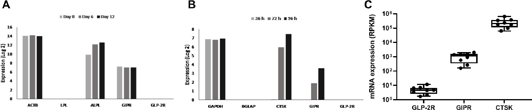 Figure 4.