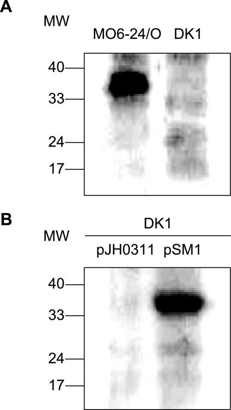 FIG. 4.