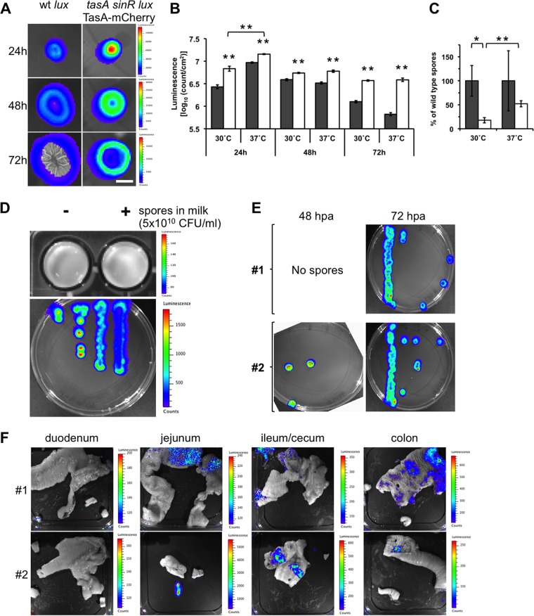 FIG 2