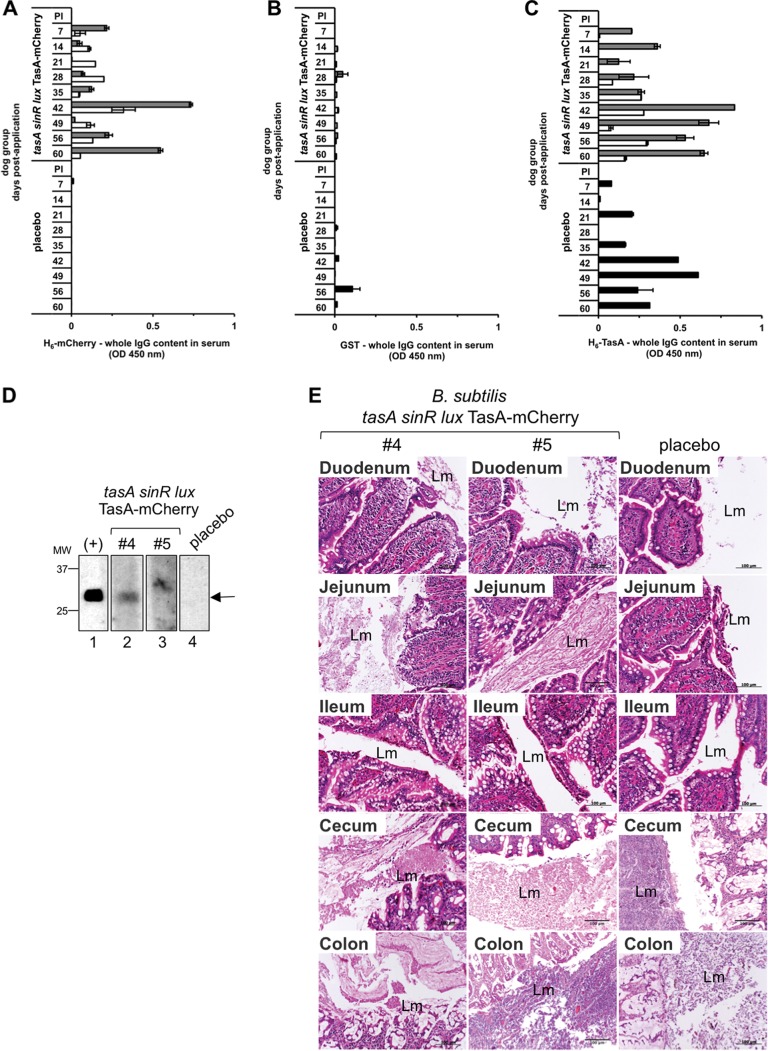 FIG 3