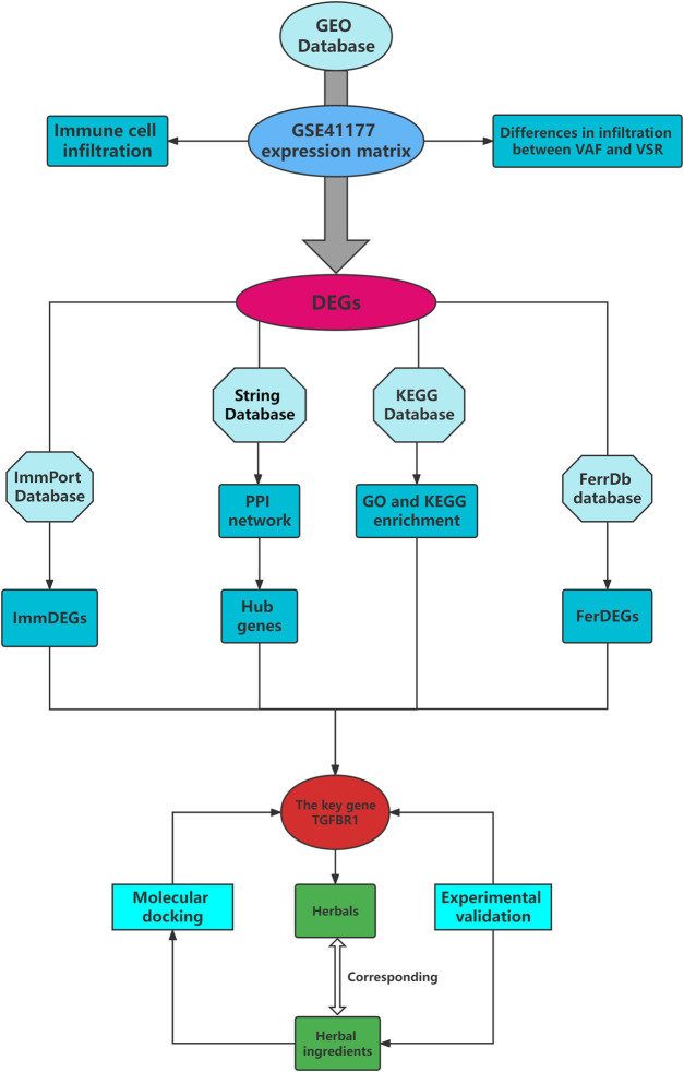 graphic file with name FGENE_fgene-2022-886860_wc_abs.jpg