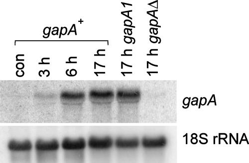FIG. 5.