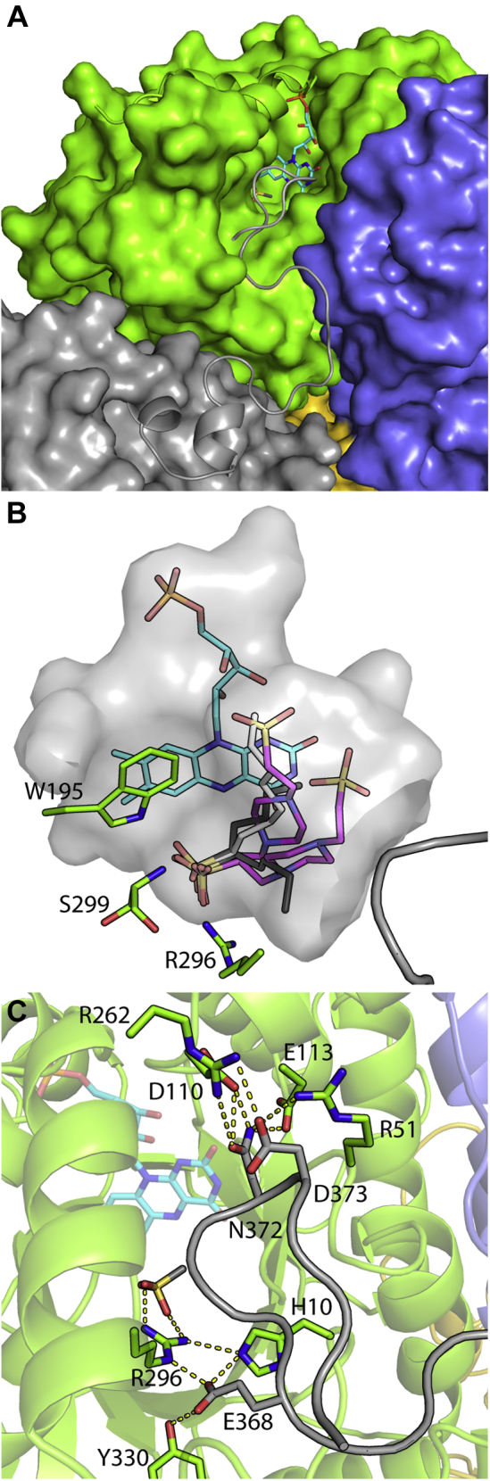 Figure 6