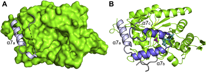 Figure 4