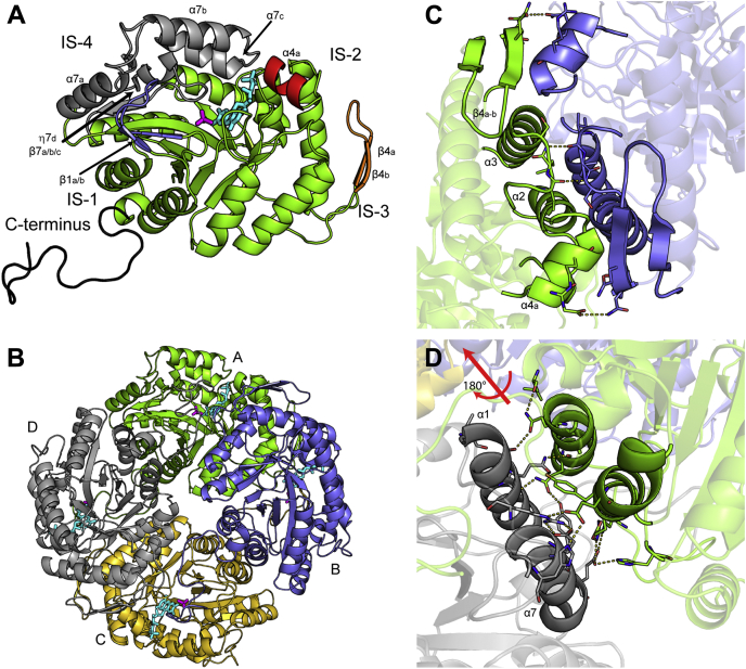 Figure 2