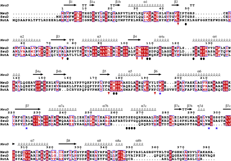 Figure 3