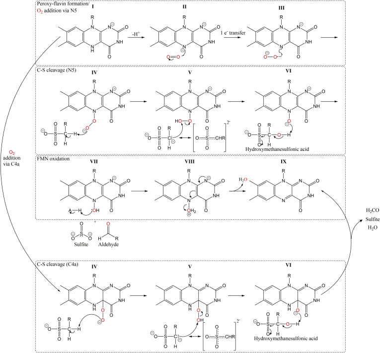 Figure 7