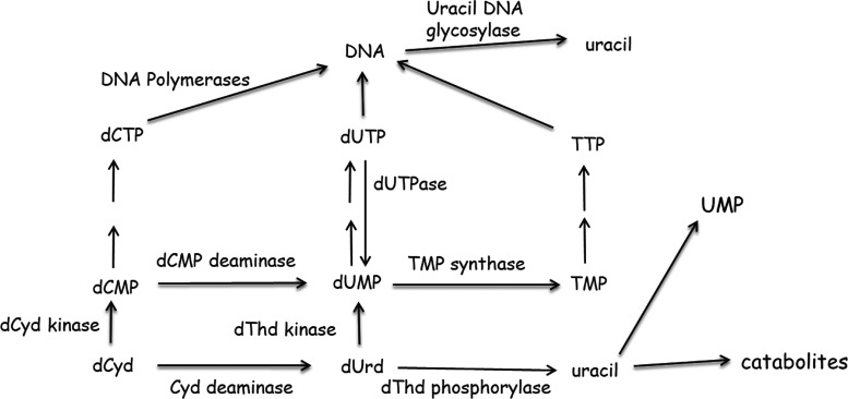 Fig. 2.