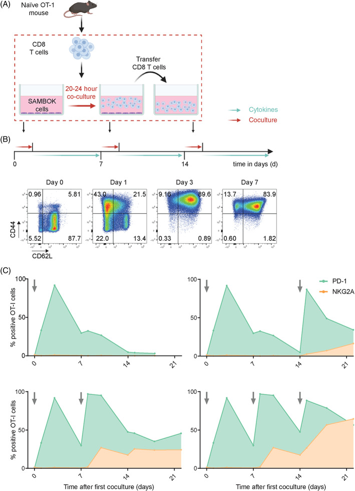 FIGURE 2