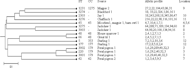 FIG. 1.