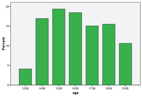 Figure 1)