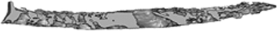 graphic file with name z7g9990908440010.jpg
