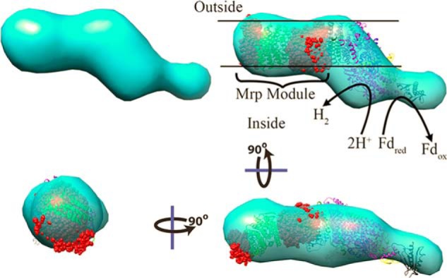 FIGURE 5.