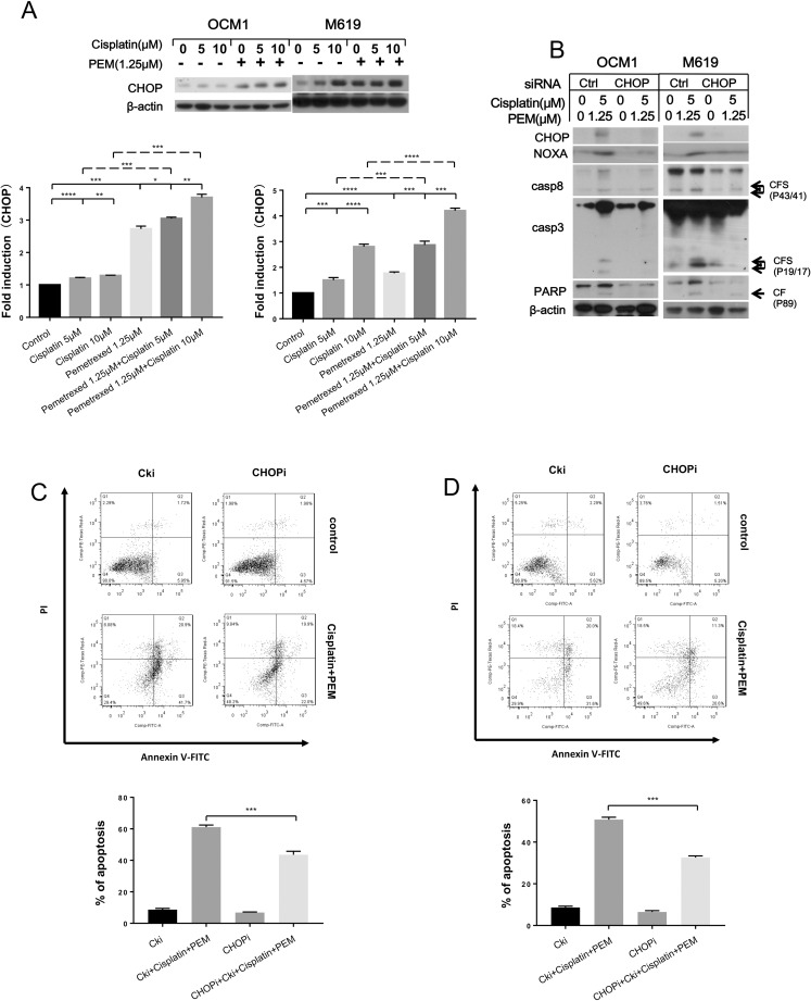 Fig 5